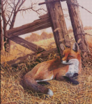 (image for) Fox Tales